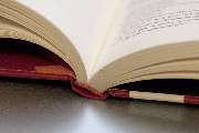 seideldesign - Reichow_Buch_Weckruf_Bindung.jpg