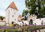 Schlossturm des Schloss Neuburg am Inn aus Sicht des Schlossgartens (Beata Kania)