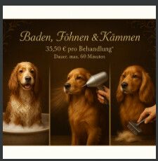 Serafino Oase - Screenshot 2025-10-23 172448.png