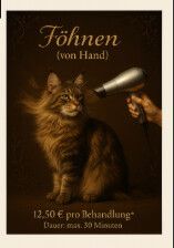 Serafino Oase - Screenshot 2025-10-23 172504.png