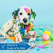 Serways Raststätte Allertal Ost - GALLERY