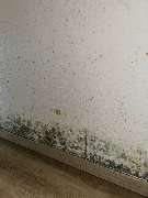 SH-Immo & partner - 12