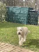 SH-Immo & partner - 13