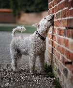 SH-Immo & partner - 9