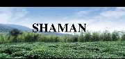 Logo - SHAMAN