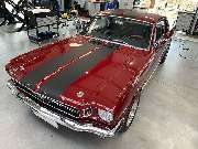 shineFirma.com - GALLERY