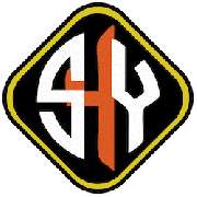 show4you - A.Borrmann - LOGO