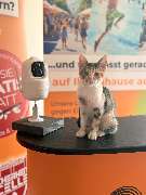 SicherheitsCelle - GALLERY