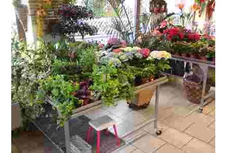 Sieglinde Wolfinger + Elke Hackbarth GbR - GALLERY