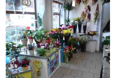 Sieglinde Wolfinger + Elke Hackbarth GbR - GALLERY