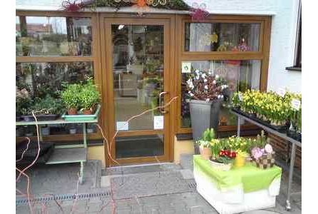 Sieglinde Wolfinger + Elke Hackbarth GbR - GALLERY