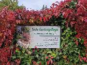 Siele Gartenpflege - 1