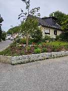 Siele Gartenpflege - Siele Gartenpflege