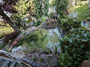 Siele Gartenpflege - Siele Gartenpflege