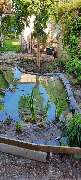 Siele Gartenpflege - Siele Gartenpflege