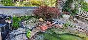 Siele Gartenpflege - Siele Gartenpflege
