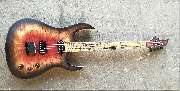 Siggi Braun - Fine Young Guitars - 14
