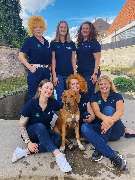 SIGNAL IDUNA Versicherung Bezirksdirektion Nelk & Team - Versicherungsagentur - Team Nelk - SIGNAL IDUNA Bezirksdirektion Mirsada Nelk - Versicherung in Berching