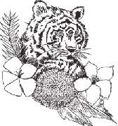 Silver Tiger Spa Cologne - 1
