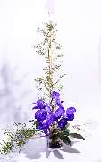 Silvia Jonas Blumen & Kunst - GALLERY