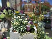 Silvia Jonas Blumen & Kunst - GALLERY