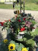 Silvia Jonas Blumen & Kunst - GALLERY
