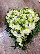 Silvio's Blumenparadies - Silvio´s Blumenparadies