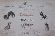 Silvis mobiler Hundefriseur - 2