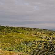 SINGERFISCHER DESIGN - GALLERY