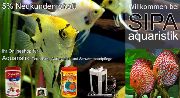 SIPA Aquaristik  - Ihr professioneller & zertifizierter Eheim Aquaristik Online Shop im Internet
