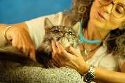 SIRIUS® Behavior Vets Zentrum für Tiermedizinische Verhaltenstherapie - GALLERY