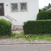 SJ-Vermittlungsservice - 10