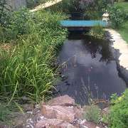 SJ-Vermittlungsservice - 4