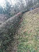 S&K-Dienstservice-Mitwitz - GALLERY