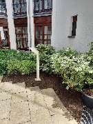 SKGreen Hausmeisterservice - 9