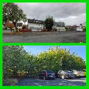 SKGreen Hausmeisterservice - WhatsApp Image 2025-11-19 at 16.18.23.jpeg