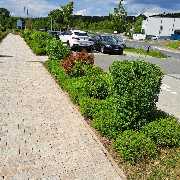 SKGreen Hausmeisterservice - WhatsApp Image 2025-11-19 at 16.20.35.jpeg