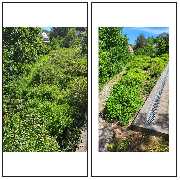 SKGreen Hausmeisterservice - WhatsApp Image 2025-11-19 at 16.21.37.jpeg