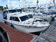 Skipper-Ahoi Sportbootschule e.K. - GALLERY