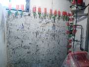 Skoko Bautenschutz GmbH - 9