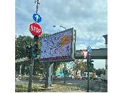 SKOR Schädlingsbekämpfung GmbH - GALLERY