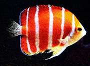 S&L Naturverlag - GALLERY