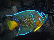 S&L Naturverlag - GALLERY