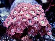 S&L Naturverlag - GALLERY