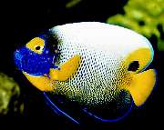 S&L Naturverlag - GALLERY