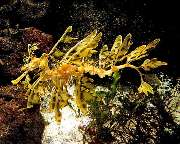 S&L Naturverlag - GALLERY