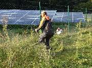 SLP Kraus GmbH | Photovoltaikflächen-Management & Grünpflege - Freischneiden von Heckenanpflanzungen um Solarparks durch SLP-Kraus GmbH | Photovoltaikflächen-Management und Grünpflege.