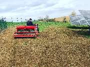 SLP Kraus GmbH | Photovoltaikflächen-Management & Grünpflege - Graseinsaat auf einer Photovoltaikfläche mit Spezialmaschinen. SLP-Kraus GmbH| Photovoltaikflächen-Management und Grünpflege.