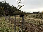 SLP Kraus GmbH | Photovoltaikflächen-Management & Grünpflege - Spezialisiert auf Begrünung von Photovoltaikflächen und Renaturierung im öffentlichen Raum. SLP-Kraus GmbH | Photovoltaikflächen-Management und Grünpflege.