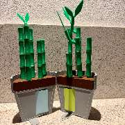 Snowcats Welt - GALLERY